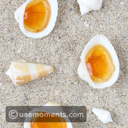 2. Roudoudous - France