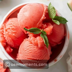 Watermelon Sorbet