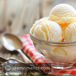 Classic Vanilla Scoop