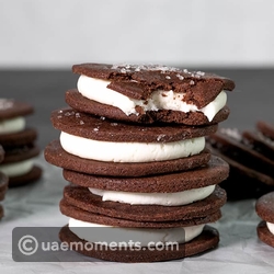 Chocolate Wafer Ice Cream Sandwiches