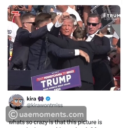 Internet Reacts to Trump Getting Shot