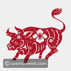 Ox Horoscope for October 6th, 2023